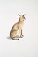 Chat allier Felis affinis - John Edward Gray — vy av konstverket