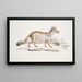 Renard Bengal Canis Vulpes Bengalensis Canis Kokree - John Edward Gray — inramlat konstverk på väggen