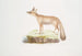 Renard du Doab Canis Vulpes rufescens hona - John Edward Gray — vy av konstverket