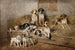 hundar och terriers i en stall - John Emms — vy av konstverket
