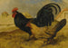 Les Fermiers de la cour - John Frederick Herring l'Ancien — vy av konstverket