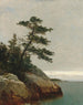 Le vieux pin Darien Connecticut - John Frederick Kensett — vy av konstverket
