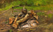 Camp dans le Vermont - John George Brown — vy av konstverket