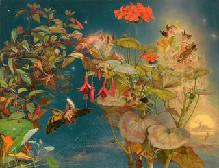Fées de la nuit d'été - John George Naish — vy av konstverket