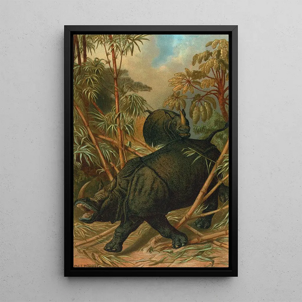 John George Wood - Rhinoceros.webp