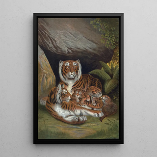 John George Wood - Tiger.webp