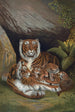 Tigre - John George Wood — vy av konstverket