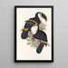 En monografi över Ramphastidae eller familjen toucaner Pl01 - John Gould — inramlat konstverk på väggen