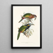 En monografi över Ramphastidae eller familjen toucaner Pl21 - John Gould — inramlat konstverk på väggen