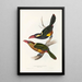 En monografi över Ramphastidae eller familjen toucaner Pl22 - John Gould — inramlat konstverk på väggen