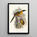En monografi av Ramphastidae eller familjen toucaner Pl28 - John Gould — inramlat konstverk på väggen