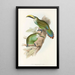 En monografi över Ramphastidae eller familjen toucaner Pl29 - John Gould — inramlat konstverk på väggen