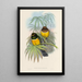 En monografi över Trogonidae eller familjen trogon Pl06 - John Gould — inramlat konstverk på väggen