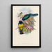 En monografi över Trogonidae eller familjen trogon Pl08 - John Gould — inramlat konstverk på väggen
