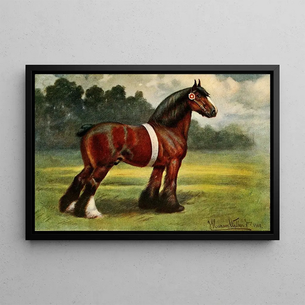 John Hanson Walker Jr - Shire Stallion Halstead Royal Duke.webp