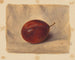 Prune - John Henry Hill — vy av konstverket