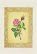 Rose - John Henry Ingram — vy av konstverket