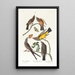 Tyran de l'Arkansas Tyran à queue fourchue - John James Audubon — inramlat konstverk på väggen
