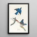 Merlebleu - John James Audubon — vy av konstverket
