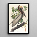 Pélican brun Pelecanus fuscus - John James Audubon — inramlat konstverk på väggen