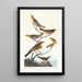 Oriole de Bullock, Oriole de Baltimore, Chardonneret mexicain, Grive variée, Grive des ruisseaux - John James Audubon — inramlat konstverk på väggen