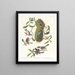 Mésange à dos marron Mésange à tête noire Mésange à couronne marron - John James Audubon — inramlat konstverk på väggen