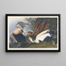 Eider à duvet - John James Audubon — inramlat konstverk på väggen