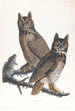 den stora amerikanska ugglan - John James Audubon — vy av konstverket