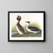 Grèbe à cou noir - John James Audubon — inramlat konstverk på väggen