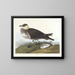 Jägare - John James Audubon — inramlat konstverk på väggen