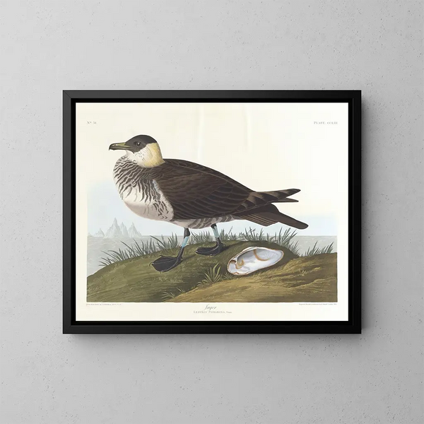 Jägare - John James Audubon — inramlat konstverk på väggen