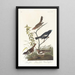 Bruant des prés Bruant des prairies Moineau chanteur brun - John James Audubon — inramlat konstverk på väggen