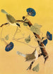 Parulines du Maryland - John James Audubon — vy av konstverket