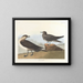 Le chasseur de Richardson - John James Audubon — inramlat konstverk på väggen