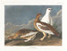 klippformationer - John James Audubon — vy av konstverket