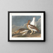klippformationer - John James Audubon — inramlat konstverk på väggen