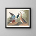 Kanadagås - John James Audubon — inramlat konstverk på väggen