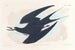 Sterne fuligineuse - John James Audubon — vy av konstverket