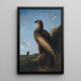 Aigle de mer de Washington - John James Audubon — inramlat konstverk på väggen
