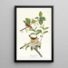 Paruline à poitrine jaune - John James Audubon — inramlat konstverk på väggen