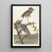Héron couronné - John James Audubon — inramlat konstverk på väggen