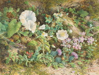 Studie av blommor - John Jessop Hardwick — vy av konstverket
