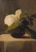 Magnolia - John La Farge — vy av konstverket