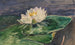 Nénuphar - John La Farge — vy av konstverket