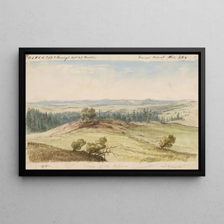 John Mix Stanley - Source of the Peluse.webp