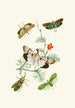 Le cabinet d'entomologie orientale Pl IV - John Obadiah Westwood — vy av konstverket