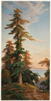 Sequoias Santa Cruz Mts Cal - John Ross Key — vy av konstverket