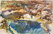 Man och pool, Florida - John Singer Sargent — vy av konstverket