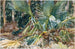 Palmlundar - John Singer Sargent — vy av konstverket