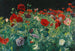 vallmo - John Singer Sargent — vy av konstverket